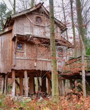 Crafting Dreams Amongst the Canopy: Exploring the World of Treehouse Designers – 26 June 2025