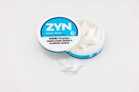 World of Zyn Nicotine Pouches
