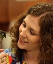 Bird Grooming Near Me: A Complete Guide to Caring for Your Feathered Friend