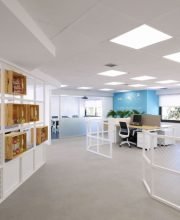 Transforming Workspaces: The Complete Guide to Office Renovation